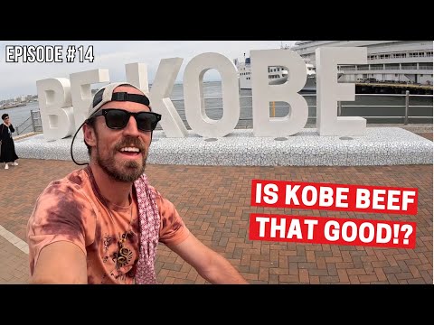 I Rode A Bicycle From OSAKA To KOBE!  | Bike Touring Japan #14