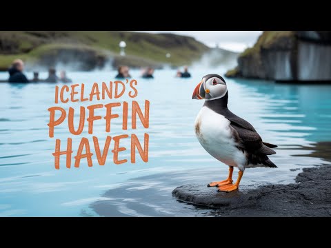 Iceland - Puffins, Blue Lagoon, and Volcanos #travelcouple #travel
