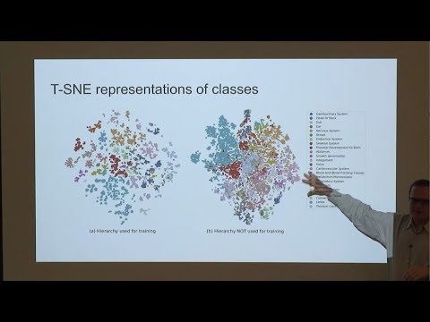 Improving Doctor-Patient Interaction with ML-Enabled Clinical Note Taking