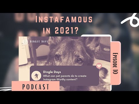 Instafamous Dog Account in 2021? Pro Tips to Make Instagram-Worthy Content| #DingleDaysPodcast 010