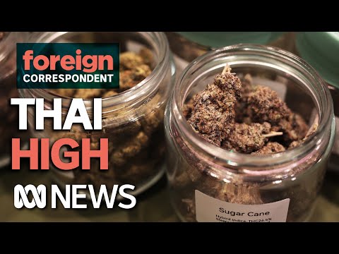 Is Thailand the New Weed Capital of the World? | Foreign Correspondent