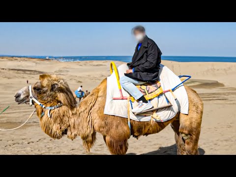 Japanese desert [Tottori Sand Dunes, Yokai Street]