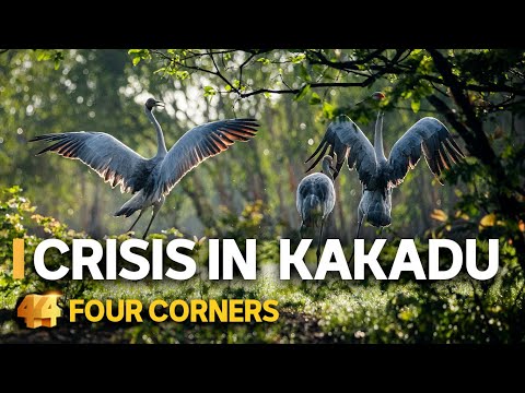 Kakadu in crisis: Traditional owners threaten to close Australia’s biggest national park