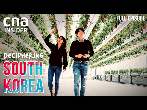 Korea, The Tech Nation: A Double-Edged Sword? | Deciphering South Korea - Ep 4 | CNA Documentary