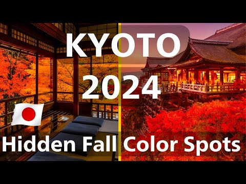 Kyoto's Autumn Color Attractions To Visit In 2024, Autumn Leaves, Foliage, Japanese Garden