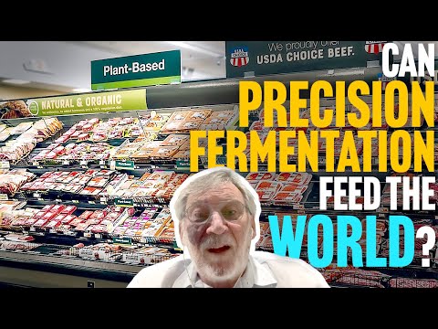 Limits to Growth for Precision Fermentation