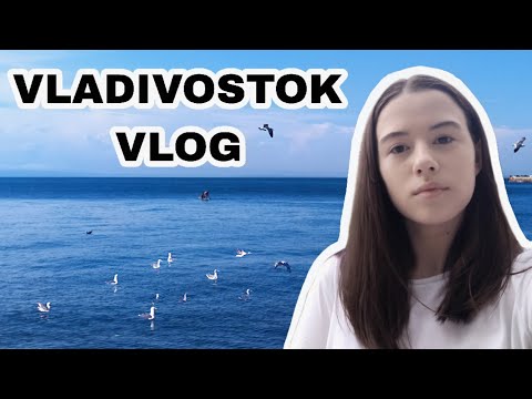 Live in the Far East: sea gulls, fur seals and lots of sea food in Vladivostok