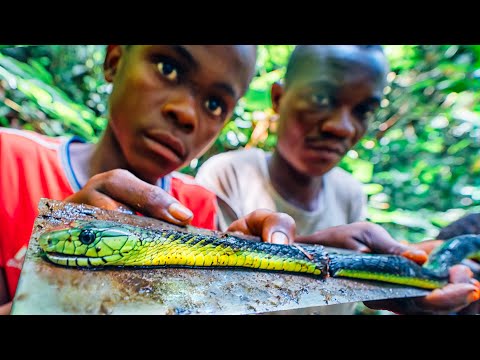 LOST in CONGO and hunting VENOMOUS SNAKES with THE PYGMIES