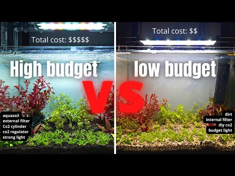 LOW BUDGET VS HIGH BUDGETWILL IT MAKE A BIG DIFFERENCE?