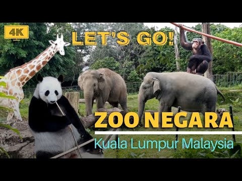 Malaysia National Zoo Virtual Tour | Zoo Negara Malaysia | Cook&Travel with Melody