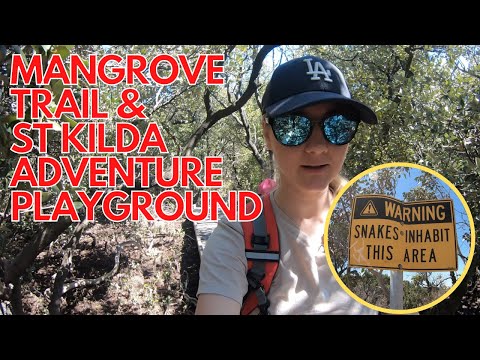 Mangarove trail and St Kilda Playground