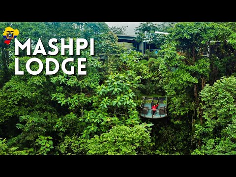 Mashpi Lodge: A Rainforest Hotel in the Clouds | Ecuador 2022
