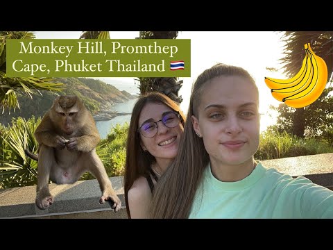 Monkey Hill, Promthep Cape, Phuket Thailand January 2024 