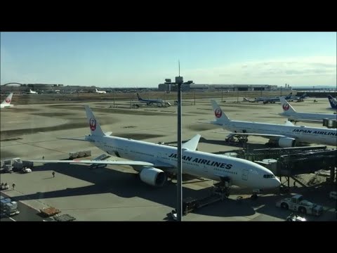 Most EXPENSIVE Business Class Ticket to New York from Japan | Japan Airlines Boeing 777-300ER
