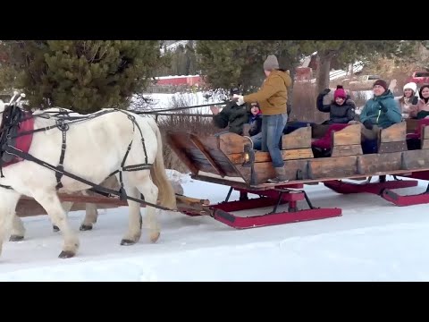 MTN OUTDOORS: The Latest in Montana Sleigh Rides, Ski News, and Animals