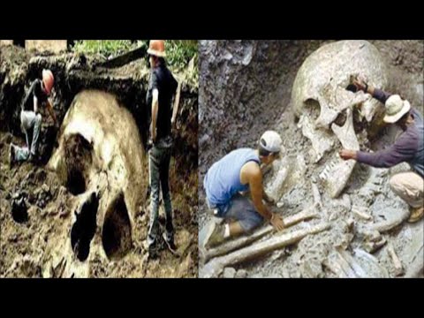 Mud Flood - Tartaria - Giants - Books - Skeletons - Megaliths - Foot Prints - Titans - Technology