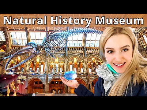 Natural History Museum - London