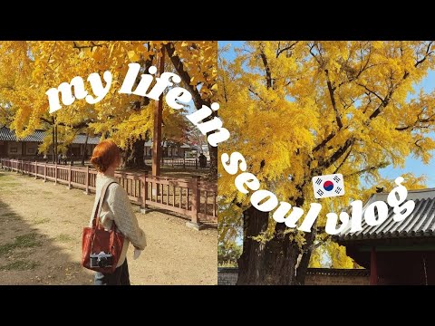 new camera, cafe hopping, palaces, rainy days  a week of my life in autumn in seoul, korea vlog