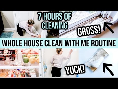 NEW! WHOLE HOUSE CLEAN WITH ME 2020 | ALL DAY SPEED CLEANING MOTIVATION | SPRING CLEAN ROUTINE