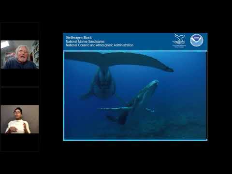 NOAA Live! Webinar 59 - Whale and Seek: The Underwater Lives of Whales