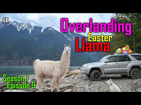 OVERLANDING EASTER LLAMA | camping offroad Harrison Lake to Lillooet Lake |4th gen 4runner (S1-E9)