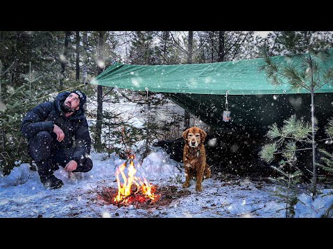 Overnight Snowstorm in a SURVIVAL SHELTER in Northern Wilderness