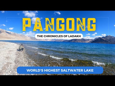 Pangong Lake Ladakh - Pangong Lake to Leh via Chang La Pass | The Chronicles of Ladakh - Ep 43