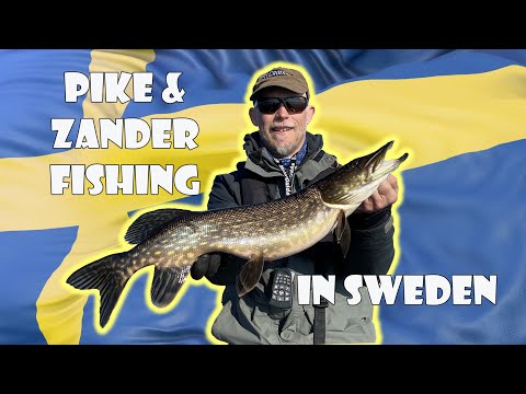 Pike & Zander fishing in Sweden