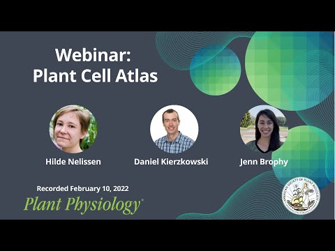 Plant Physiology Webinar: Highlighting Focus Issue on Plant Cell Atlas, Feb. 2022