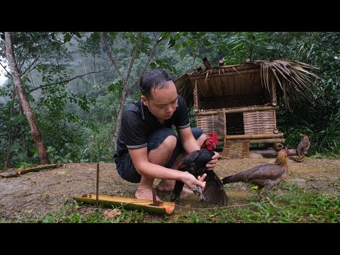 Primitive Skills: Expanding the project of raising Wild Chickens (ep194)