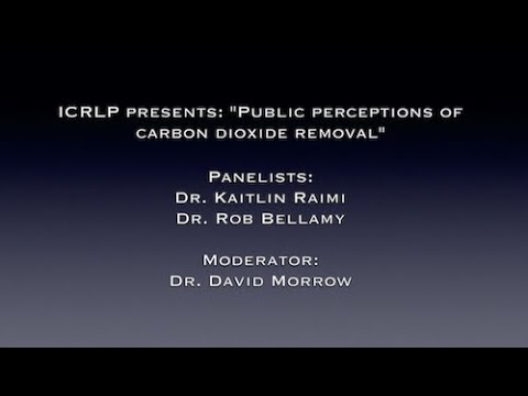 Public Perceptions of Carbon Dioxide Removal