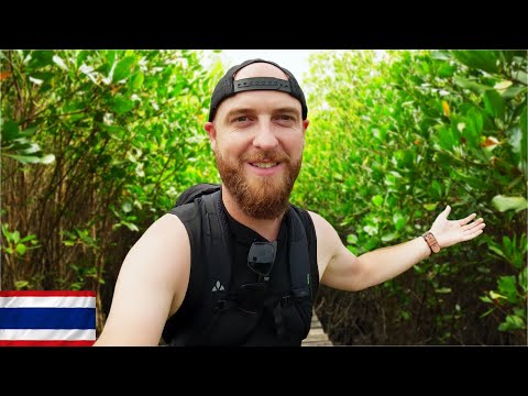 Road Trip to Spectacular Mangroves of Thailand  