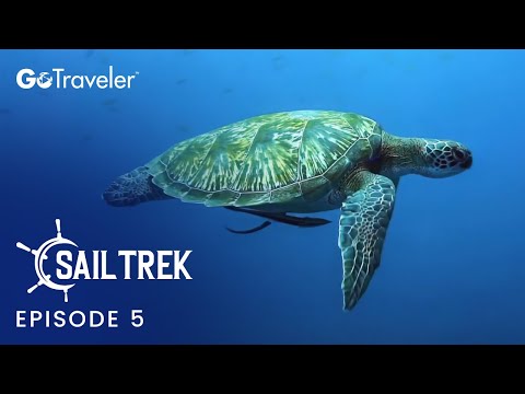 SailTrek | Episode 5 | Peace, Plastic, and History