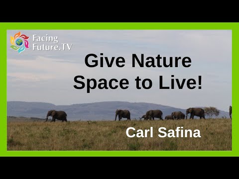 Saving Ourselves by Giving Nature Space