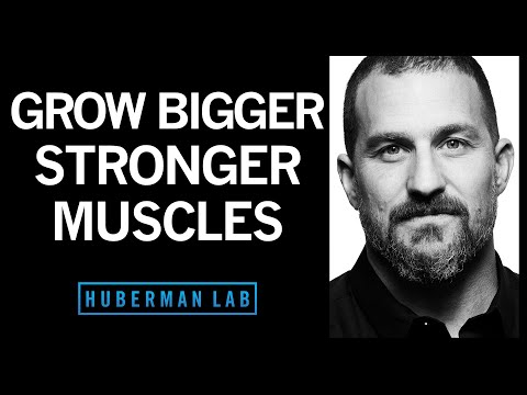 Science of Muscle Growth, Increasing Strength & Muscular Recovery | Huberman Lab Podcast #22