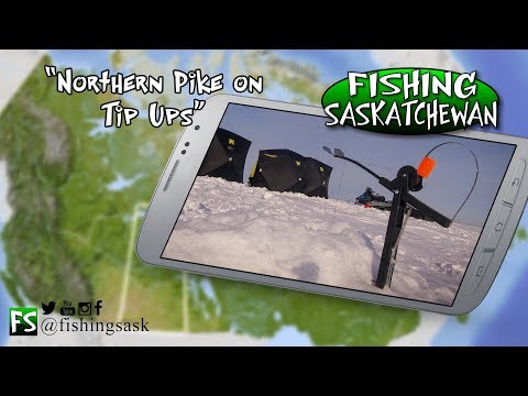 Season Finale - Tip Up Fishing for Pike on Tobin & Last Mnt