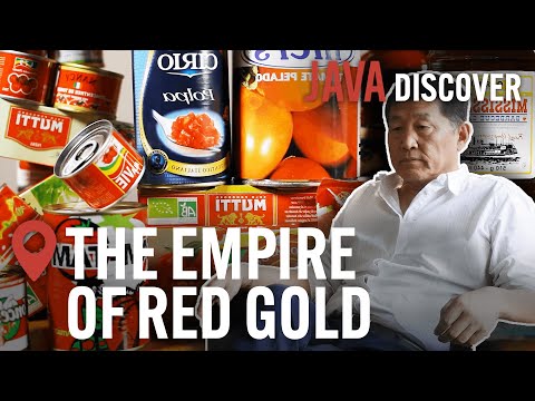 Secrets of the Tomato Industry: The Empire of Red Gold | Food & Agriculture Documentary