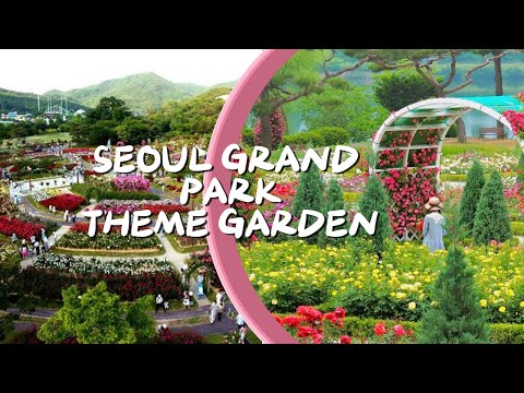 SEOUL GRAND PARK THEME GARDEN / SOUTH KOREA #travel #travelblogger #tourism #tourist #nobadenergy