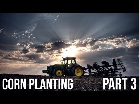 Storms Approach ⛈ - Corn Planting