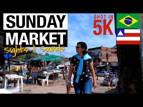 SUNDAY MARKET SIGHTS & SOUNDS