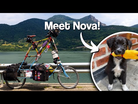 Taking a STRAY PUPPY around the WORLD! // Tall Bike Tour [Ep.10]
