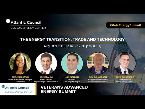 The energy transition: Trade and technology