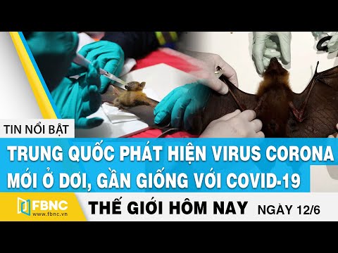 Tin thế giới mới nhất 12/6 | Trung Quốc phát hiện virus corona mới ở dơi, gần giống covid-19 | FBNC