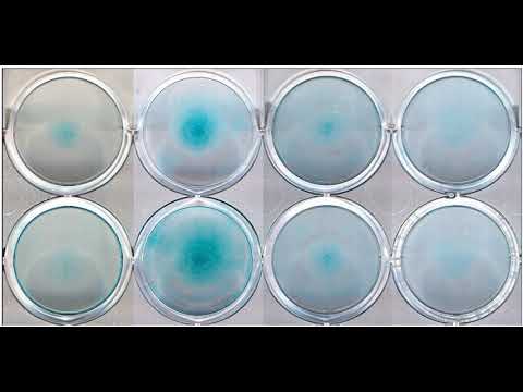 Tissue Engineering | Wikipedia audio article