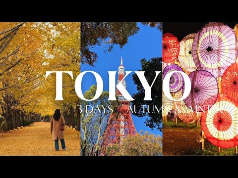 Tokyo 東京 Autumn Winter: Omotesando, Cafes, Showa Kinen Park, Tokyo Tower, Ghibli Clock, Illumination