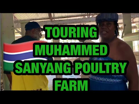 Touring Muhammed SanYang's Poultry Farms In The Gambia