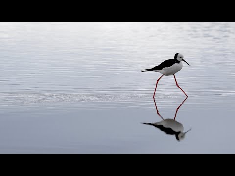 Touring Nature | Waikanae Scenic Track - EP. 1