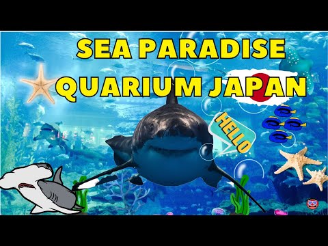 TOURISM Where to find a large aquarium and sharks in Japan  .