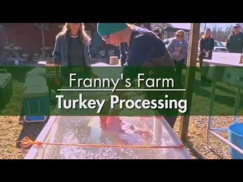 Turkey Processing with Franny & Meagan