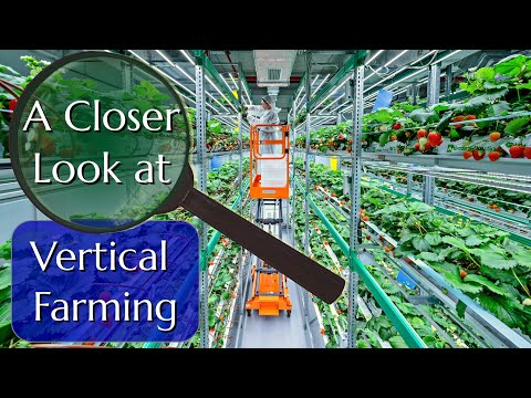 Vertical Farming: A Professional Grower Checks the Hype